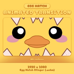 Egg Hatch - Animated Stream Transition | Twitch Transition, OBS, Stream Assets, Stinger, Kawaii, Chick, YouTube, Cute, Duck, Yellow, Chicken