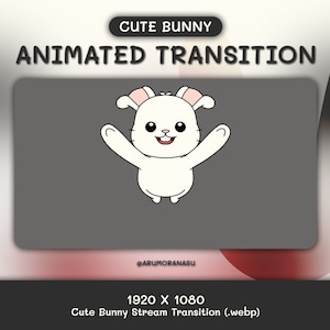 Kawaii Bunny - Animated Stream Transition | Twitch Transition, OBS, Stream Asset, Stinger, Kawaii, Bunny, YouTube, Cute Bunny, White, Rabbit