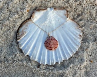 Scallop Necklace, 14k gold-filled chain