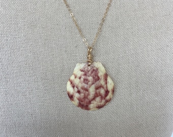 Scallop Necklace, 14k gold-filled chain