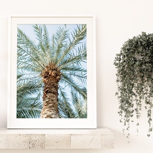 Tropical Palm Tree Photography Print: Coastal Beach Photo (Digital Download)