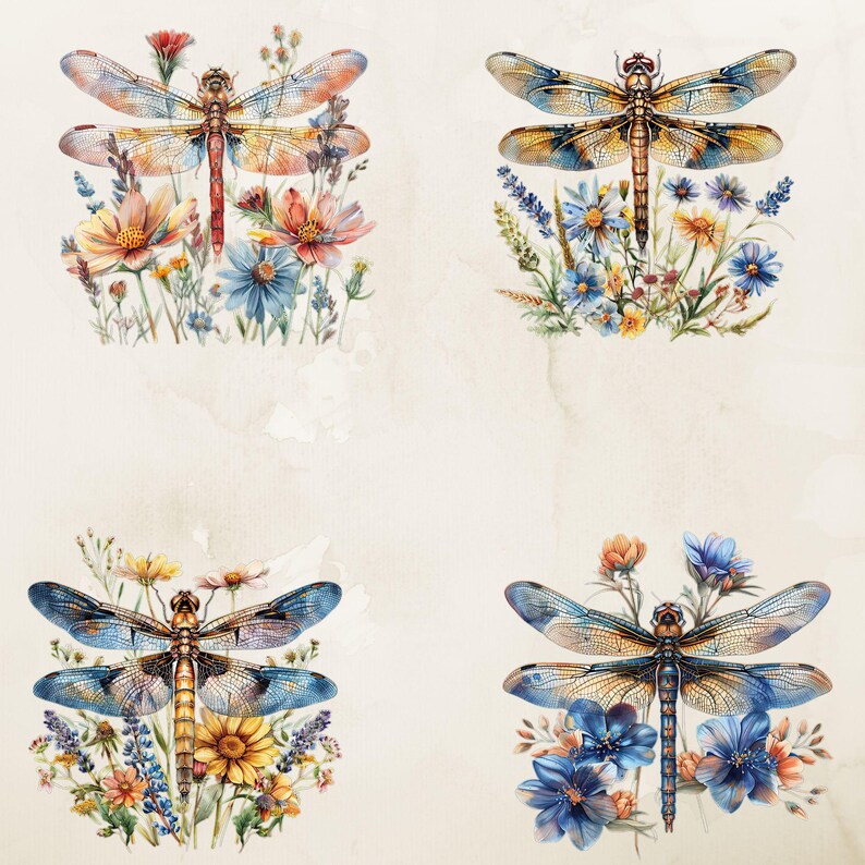 Watercolor Dragonfly Floral Clipart Sublimations Bundle, Insect PNG ...