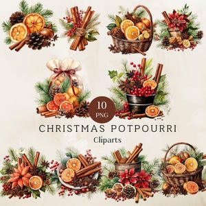 Christmas Potpourri Clipart, Watercolor Christmas Potpourri, Card Making, Junk Journals Invitations, Commercial Use, Digital Download