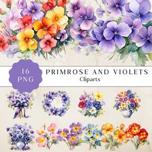Akwarela Primrose Clipart, Primrose Png, Lutowy Kwiat, Kwiat Miesiąca Urodzin, Żółte Pierwiosnki, Cyfrowe Rzemiosło Papierowe, Fiołki Png