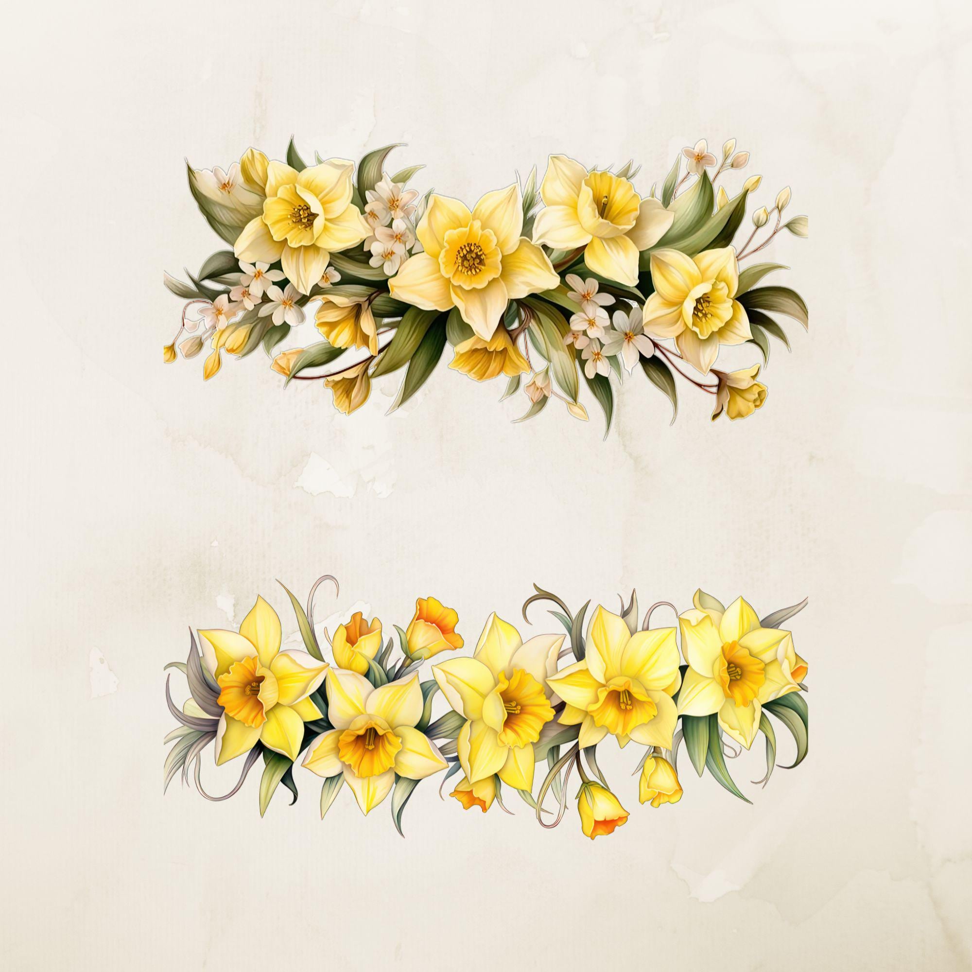 Watercolor Daffodil Clipart, Spring Floral PNG (digital Download) - Etsy