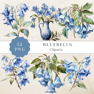 Watercolor Bluebell Flowers Clipart Png, Hand-Painted Watercolour Flower Clip Art, Blue Bluebell, Bluebell Flower, Digital Clipart Png