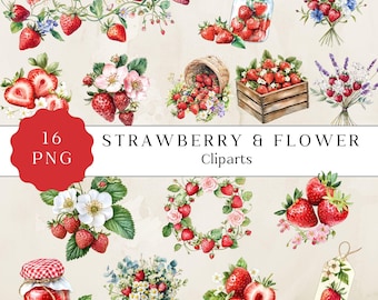 Clipart de morango e flor em aquarela, elementos florais, clipart de verão, arte de frutas vermelhas para artesanato, arte floral de verão para scrapbooking