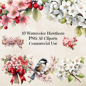Aquarelle aubépine Clipart, clipart printemps aubépine, clipart botanique aubépine, design floral printanier, graphiques floraux aquarelle