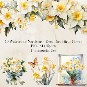 Aquarel narcissen clipart, december geboorte bloem clipart, narcisbloem png, december Flower Design, bloem illustratie