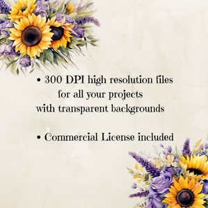 May include: A digital download of watercolor illustrations of sunflowers and lavender flowers with a transparent background. The image includes the text "300 DPI high resolution files for all your projects with transparent backgrounds" and "Commercial License included".