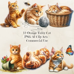 Watercolor Orange Tabby Cat Clipart, Cute Cat Clipart, Watercolor Tabby Cat Illustration, Cute Kitten Graphics, Commercial Use, 300dpi