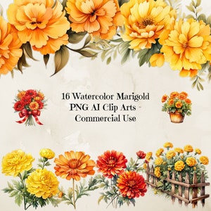 Marigold Flower Clipart, Watercolor Marigold Png Clipart, Marigold Clipart Pack, Marigold Png Images, Diy Crafts, Junk Journal, Card Making