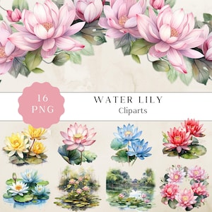 Water Lily Clipart, Aquarela Water Lilies Clipart Png, Waterlily Clipart, Flor De Lótus Png, Water Lilies Cliparts, Criação De Cartões