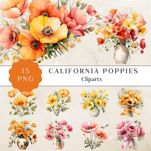 Kalifornischer Mohn Clipart, Aquarell Mohnblumen Clipart, Mohnblumensträuße, Kalifornischer Mohn Aquarell, Frühlingsblumen Clipart Png, Mohnblume Png