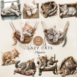 Clipart chat paresseux, Png chat paresseux, amoureux des chats Png, Clipart chat endormi, Png chat endormi, Kitty Png, maman chat Png, Illustrations de chat mignon