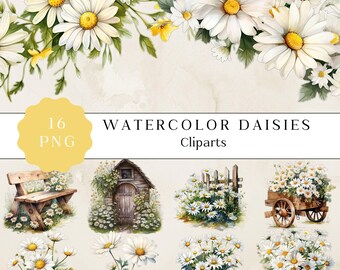 Watercolor Daisy Clipart, Spring Floral PNG (Digital Download)
