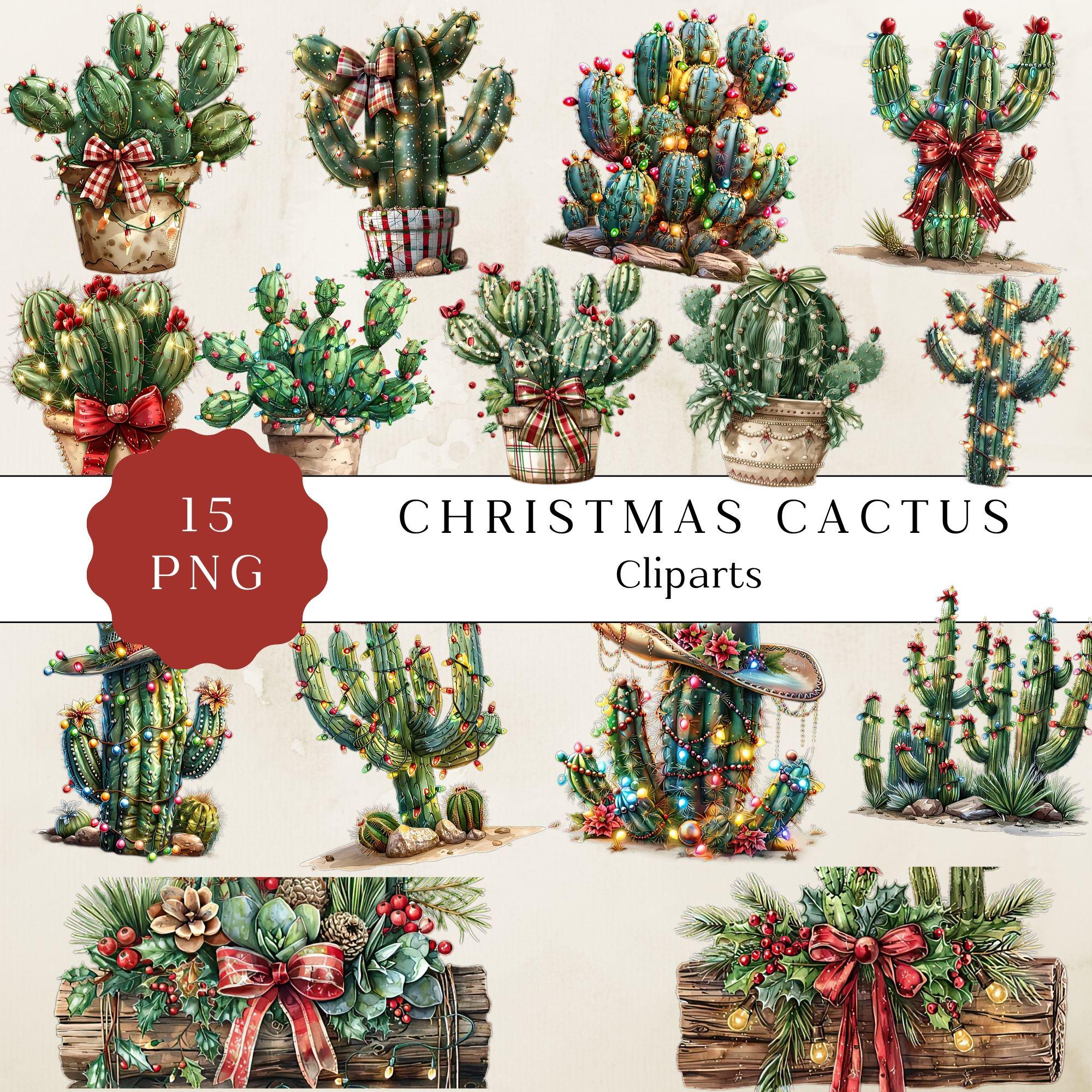 Christmas Cactus Clipart, Christmas Succulents Plants, Christmas Cactus
