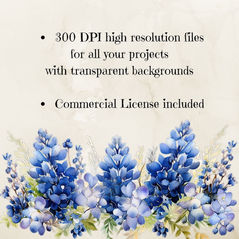 May include: Blue watercolor floral border with a white background. The text "300 DPI high resolution files for all your projects with transparent backgrounds" and "Commercial License included" is written in black text.