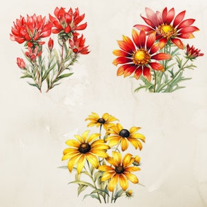 May include: A watercolor painting of three different types of flowers. The first flower is a red flower with a yellow center. The second flower is a red flower with a yellow center and a white edge. The third flower is a yellow flower with a brown center.