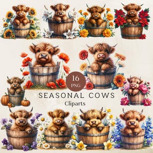 Clipart vache Highland dans un seau, vache Highland dans un seau Png, Clipart vache Highland, clipart vache mignonne, sublimation ou impression, usage Commercial