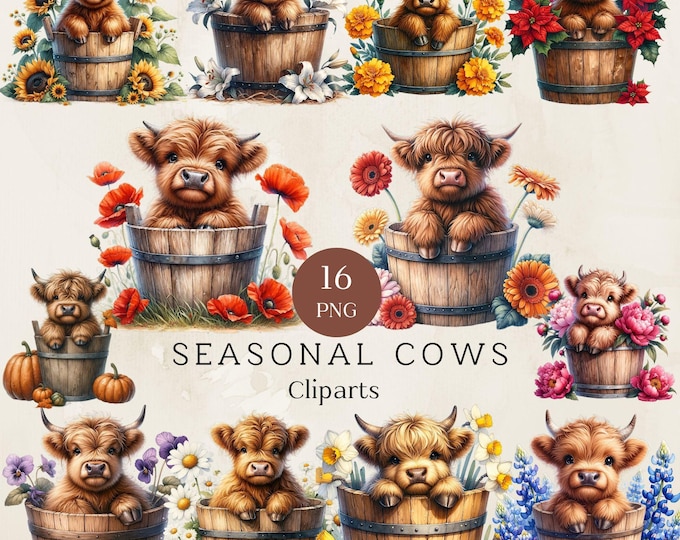 Highland Cow Watercolor Clipart Cute Highland Cow Funny Baby Cow PNG ...