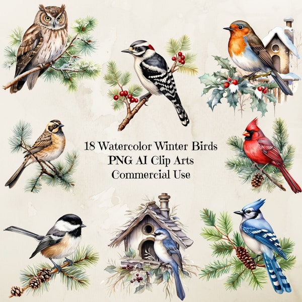 Winter Birds Watercolor Clipart, Winter Birds, Cardinal Bird, Watercolor Christmas Clipart, Red Winter Bird, Blue Jay, Chickadee, Winter Png