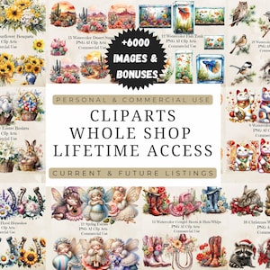Clipart Bundle Unlimited Lifetime Access, Whole Shop Clipart & Digital Paper - Designer PNG Bundle, Commercial Use Clipart - 3000+ Designs
