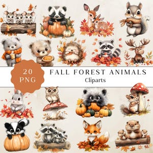 Clipart animaux de la forêt automne, mignons animaux d'automne, téléchargement numérique, décoration aquarelle pour chambre d'enfant, art mignon pour chambre d'enfant, créatures de la forêt