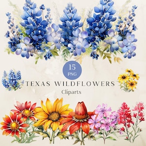 Clipart de fleurs sauvages du Texas, clipart aquarelle Texas Bluebonnets - fleur unique, clipart de fleurs sauvages, mise au rebut de livre, Png floral printanier