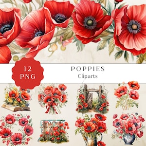 Clipart floral de papoula, mês de nascimento da flor agosto, flores de verão, clipart floral em aquarela, buquê de papoula, gráficos de papoula, uso comercial
