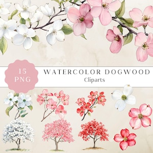 Clipart aquarelle cornouiller, 15 PNG pour scrapbooking, téléchargement numérique, design floral, impression botanique, usage commercial, téléchargement immédiat