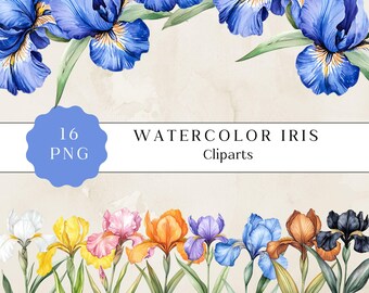 Aquarell Iris Blume Clipart, Vintage Blumen PNG (digitaler Download)