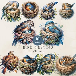 Vogel nisten Clipart, Vogel Nest Clip Arts, 10 Png Frühling Aquarell, digitale Bilder Sublimation druckbar, Vogel Clipart, kommerzielle Nutzung