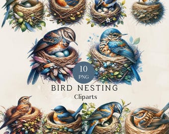 水彩画「春の鳥の巣」クリップアート：花柄JPGイラスト（デジタル
