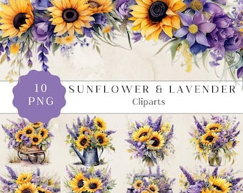 Sunflower and Lavender Clipart, Sunflower Pickup Truck Clipart Png, Watercolor Flowers Clipart, Wild Herbs Clipart. Sunflower Png