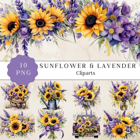 Watercolor Sunflower Lavender Clipart, Floral PNG Set (Digital Download)