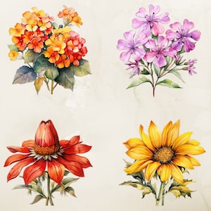 May include: Four watercolor paintings of different flowers. The top left image shows a cluster of orange and yellow flowers. The top right image shows a cluster of purple flowers. The bottom left image shows a single red flower. The bottom right image shows a single yellow flower.