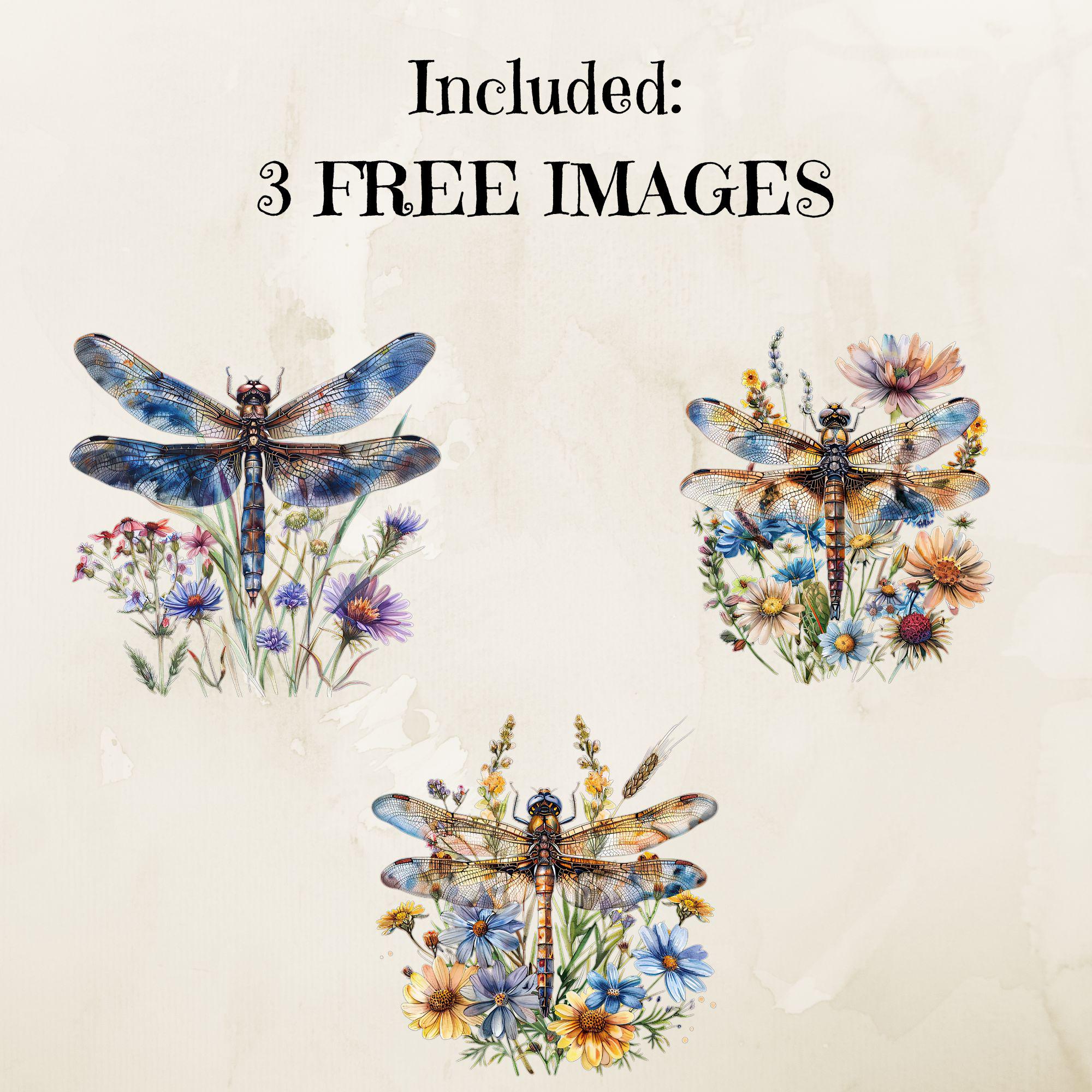 Watercolor Dragonfly Floral Clipart Sublimations Bundle, Insect PNG ...