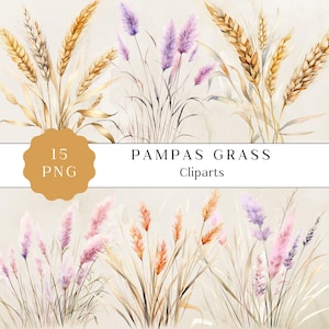 Clipart di erba della pampa ad acquerello, Clipart di fiori secchi, Clipart floreale boho, Clipart di pampa, Clipart di fiori boho, Clipart di erba della pampa ad acquerello png