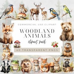 Waldtiere Clipart Pack, Fuchs Bär Reh Eule Häschen Waschbär Eichhörnchen, Transparente Waldtiere Png Bundle, Kommerzielle Nutzung
