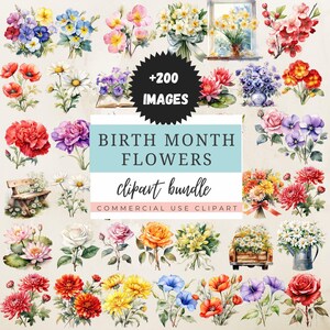 Pacote de sublimação de flores do mês de nascimento, download digital de flores do mês de nascimento, kit de flores de nascimento, PNG de aquarela para projetos DIY, criação de cartões