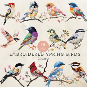 Geborduurde patchwork lente vogels clipart, gestikte png-set (digitale download)