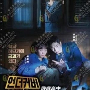 Korean Drama DVD Undercover High School TV Series Vol.1-12End (2025) English Subtitle