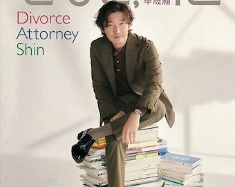 DVD Korean Drama Divorce Attorney Shin (1-12 End) English Subtitle