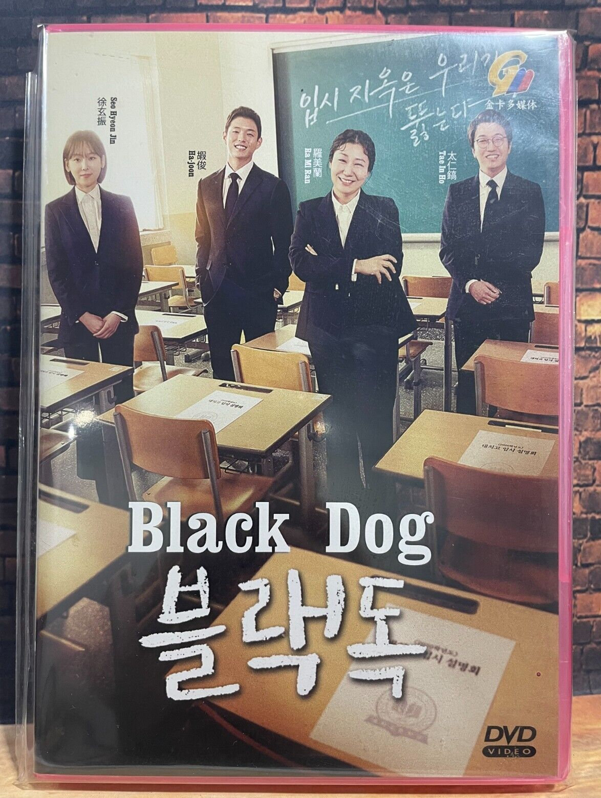 STRANGERS FROM HELL Korean DVD - TV Series (NTSC) – Korean Drama DVD