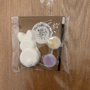 Mini paint your own bunnies party bag favours fillers