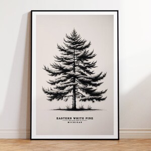 May include: A black and white illustration of an Eastern White Pine, the state tree of Michigan. The image is framed in a black frame and has a white background.