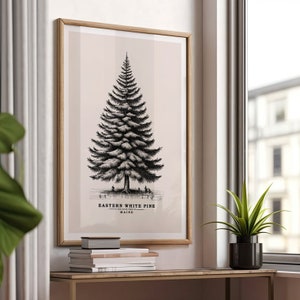 Árbol del estado de Maine / Pino blanco del este / Boceto vintage / Póster de árbol / Impresión de árbol / Arte botánico / Naturaleza / Dibujo a tinta / Digital / Regalo