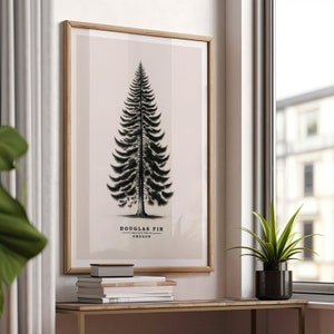 Árbol del estado de Oregón / Abeto de Douglas / Boceto vintage / Póster de árbol / Impresión de árbol / Arte botánico / Naturaleza / Dibujo a tinta / Digital / Regalo