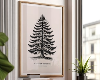 Pennsylvania östlig hemlock, statsträd, vintageskiss, trädaffisch, antikt trädtryck, botanisk konst, natur, teckning, digital nedladdning